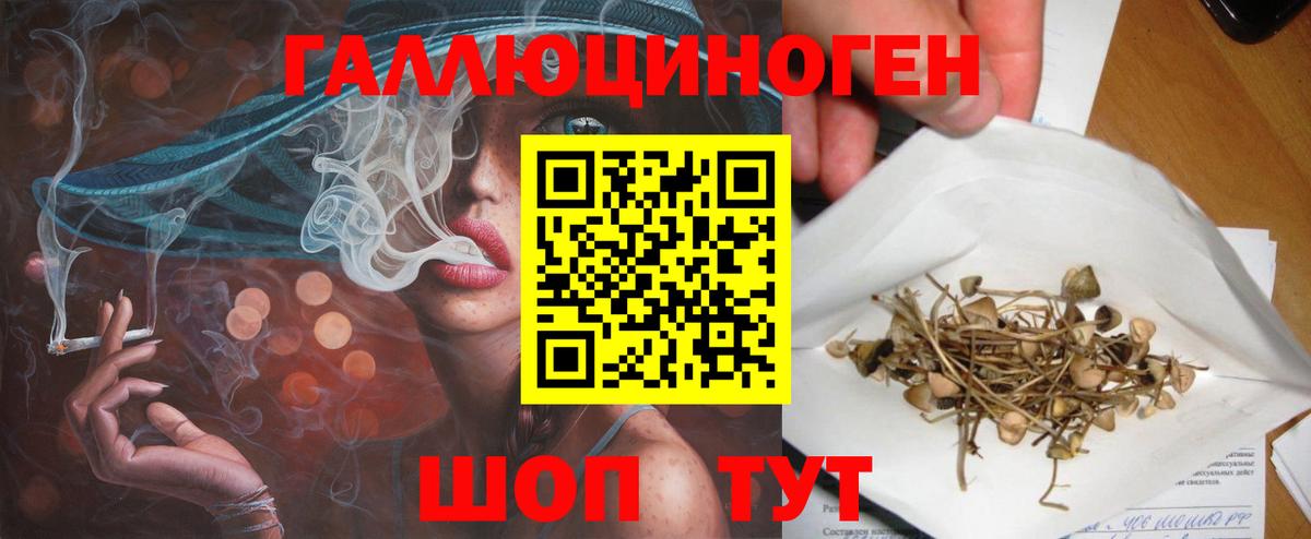 Галлюциногенные грибы мицелий Кириши