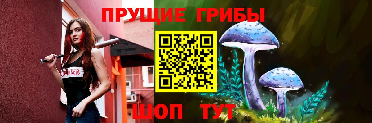 Псилоцибиновые грибы мицелий  Вход с VPN  Кириши 